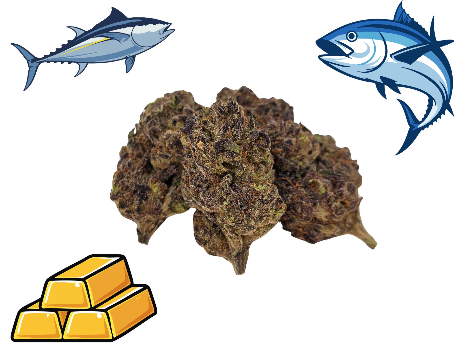 *NEW*Blue Fin Tuna- Gold Tier-THCa- Sativa / 1g